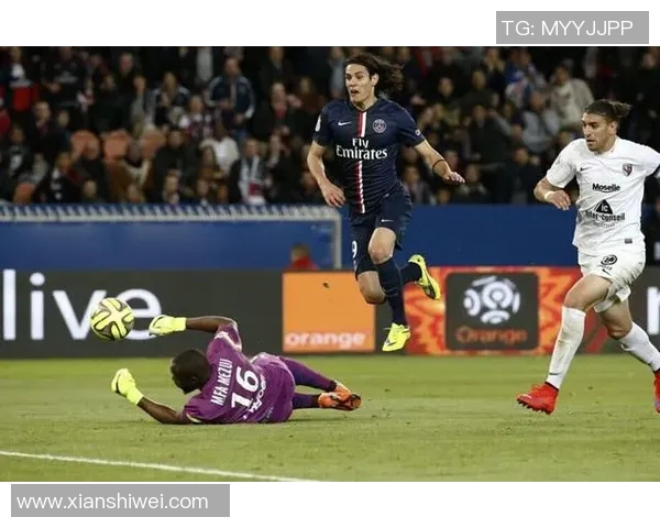 法甲2014赛季梅斯主场迎战尼斯精彩对决回顾与分析 法甲2014赛季梅斯主场迎战尼斯精彩对决回顾与分析